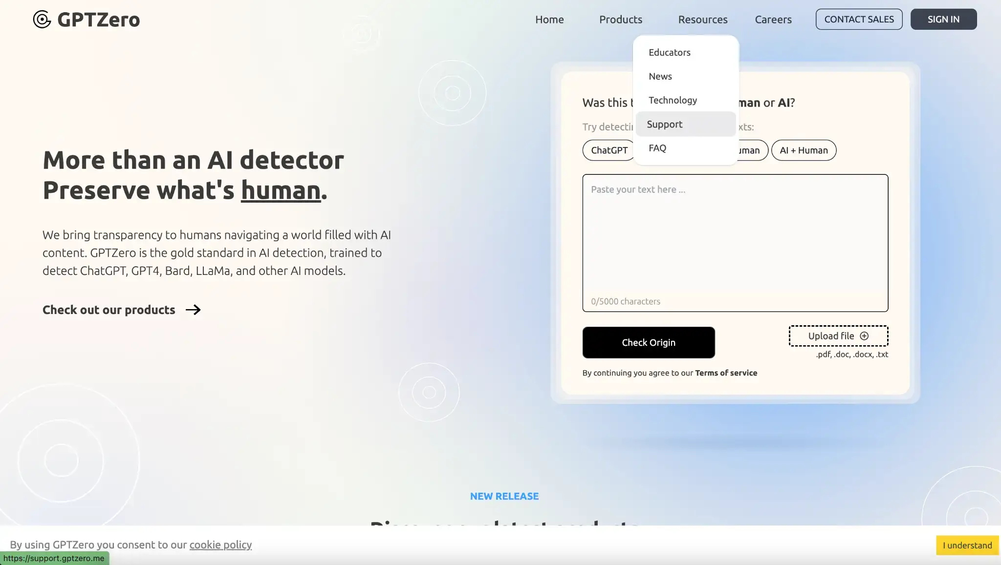 ChatGPT Detector GPTZero Screenshot