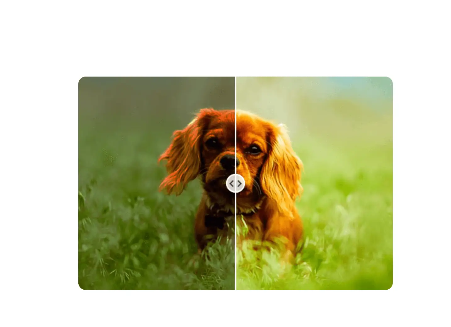 Cutout Pro Photo Color Correction Example