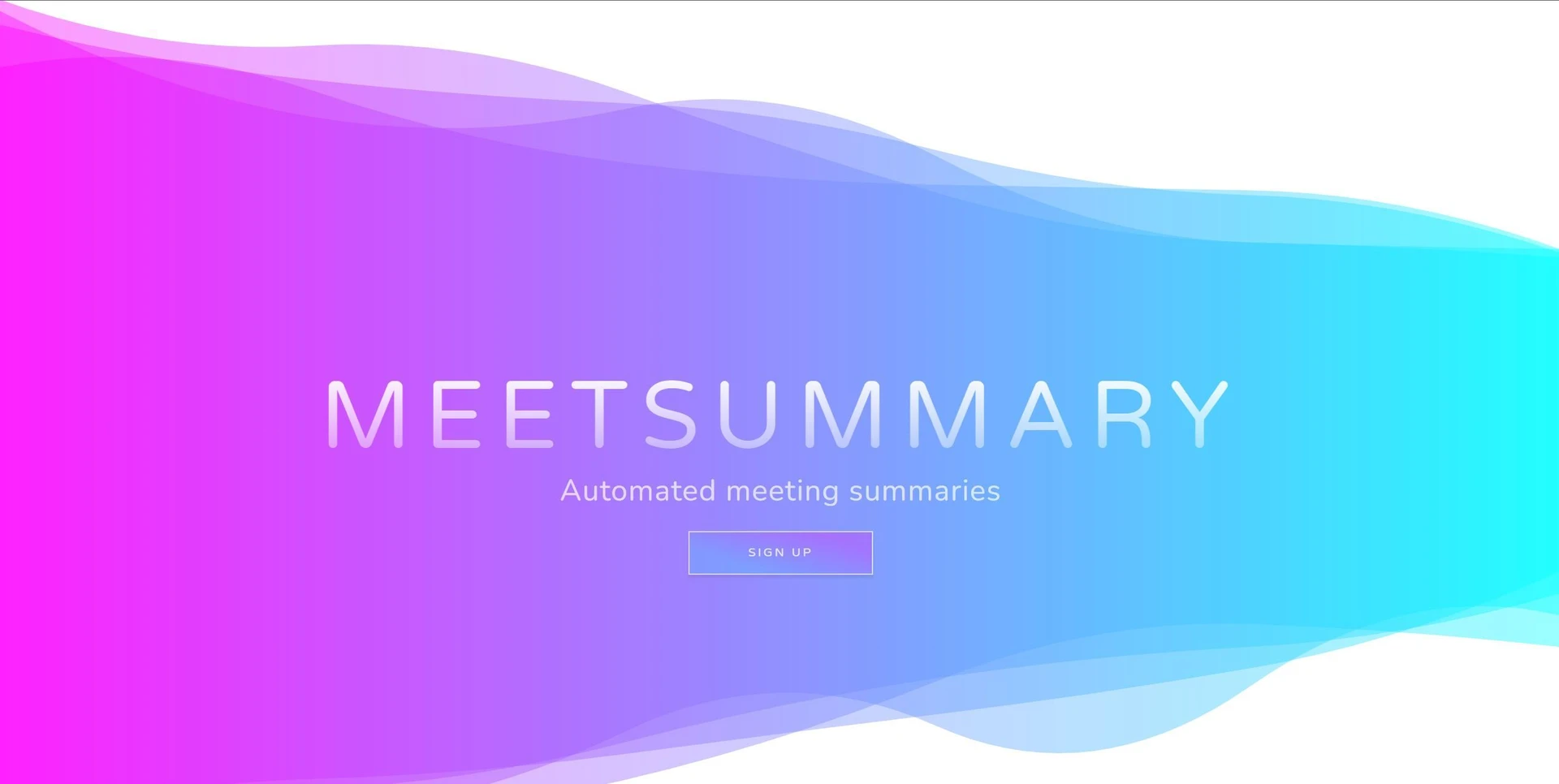 Meet Summarywebsite picture
