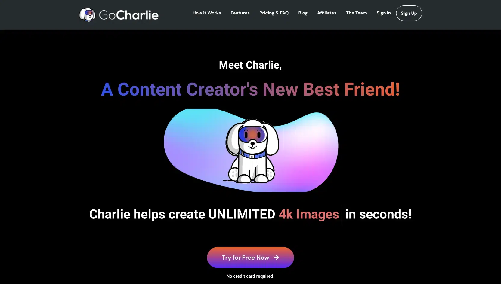Go Charliewebsite picture