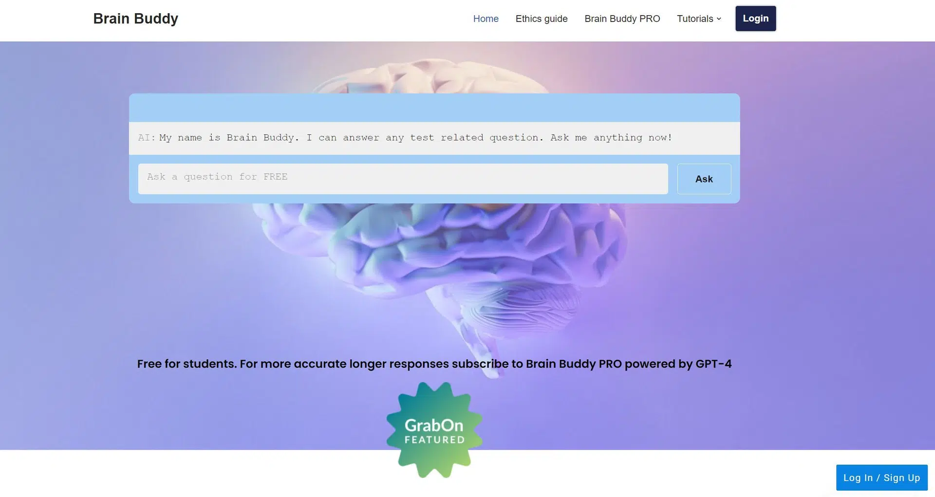 Brain Buddywebsite picture