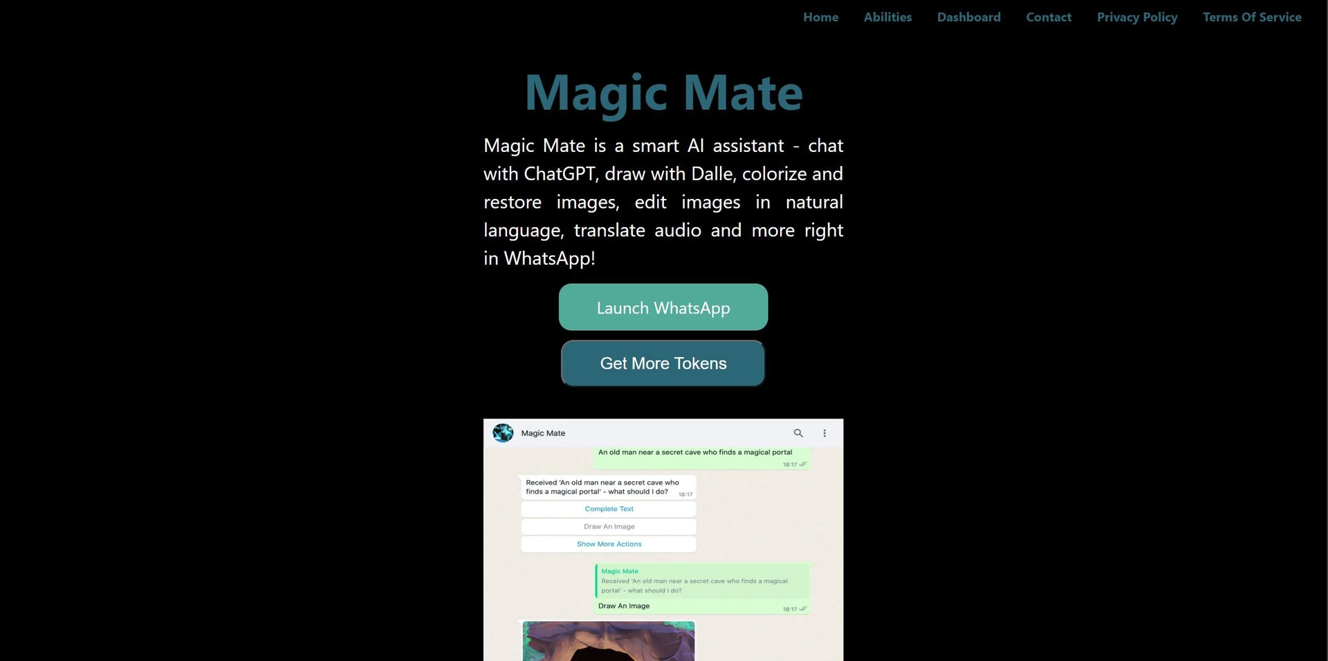Magicmatewebsite picture