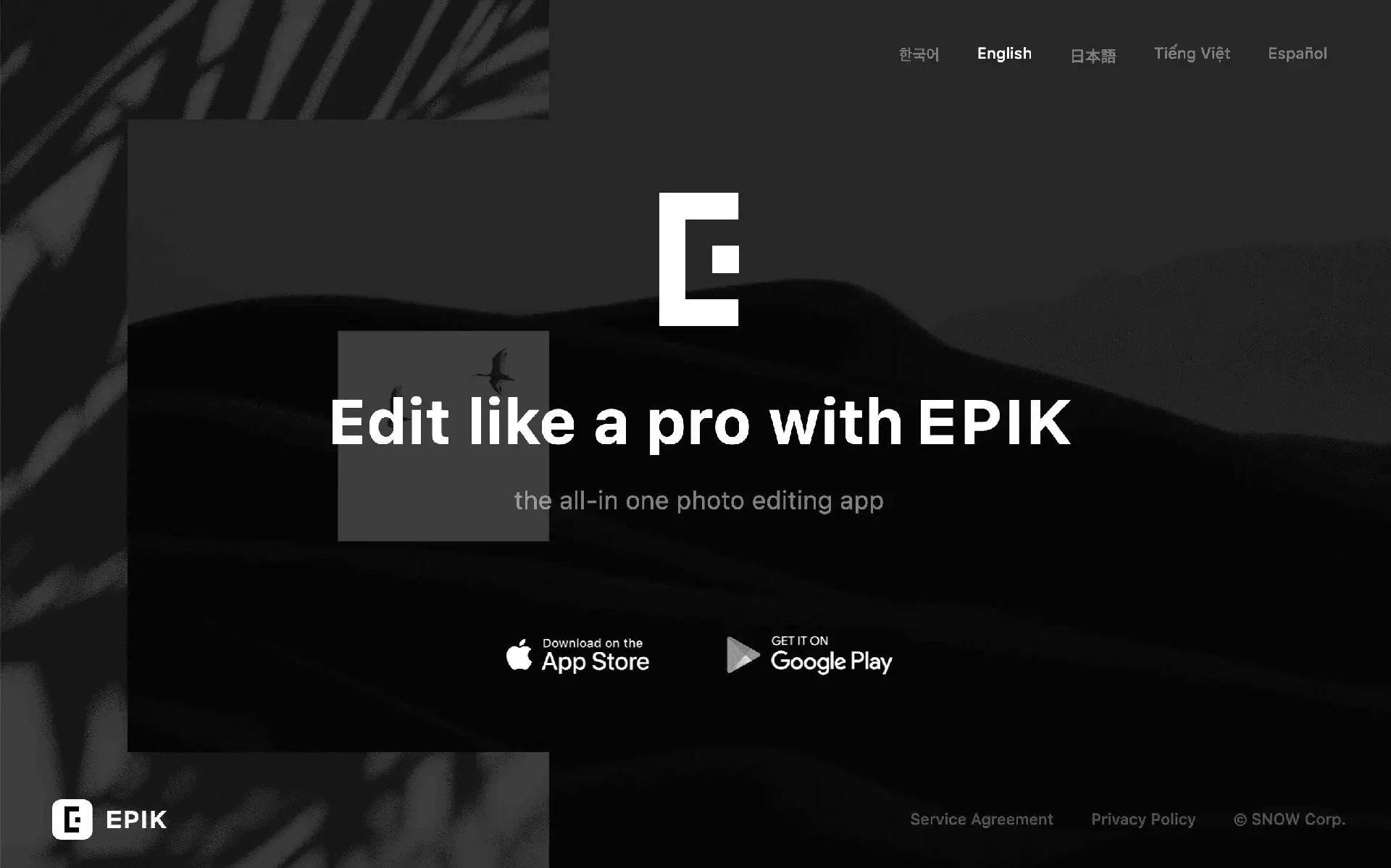 EPIKwebsite picture